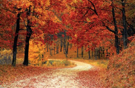 Autumn Fall