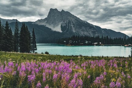 Canadian Rockies with mountains and flow
