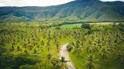 Far North Queensland Australia. Atherton tablelands, Thala beach nature Reserve