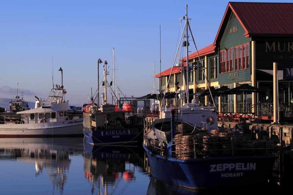 Fishing Boats at Constitution Dock, Hobart, Tasmania,
