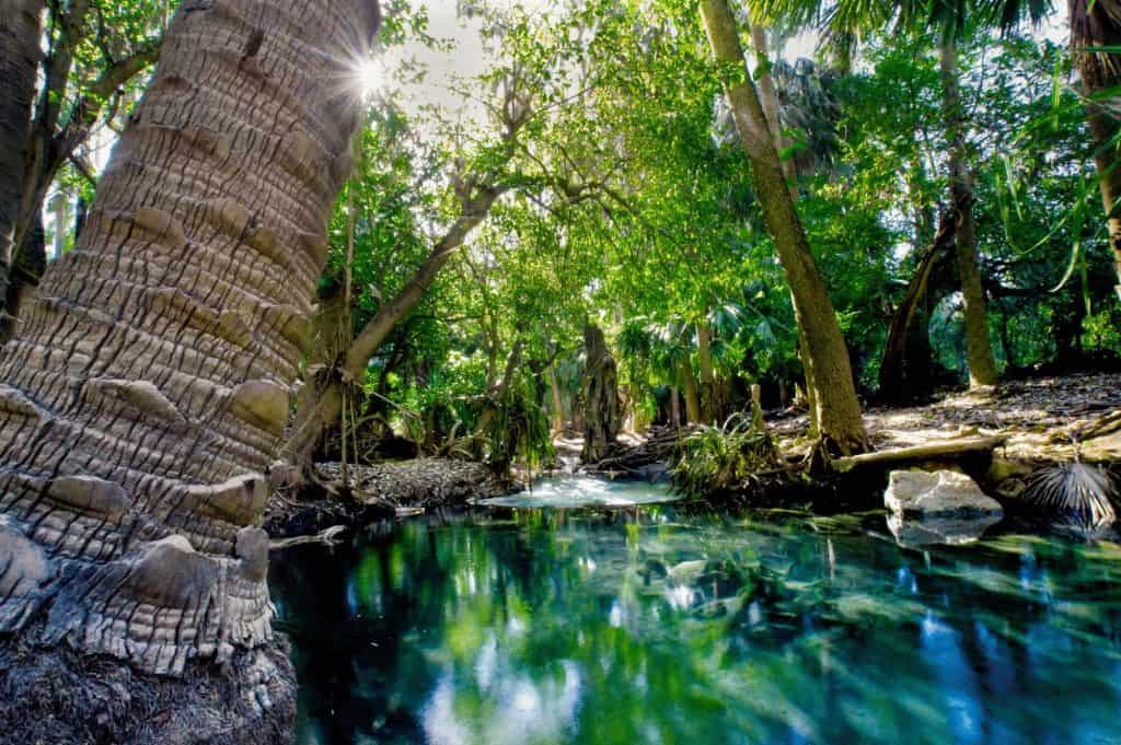 Hot Springs, NT