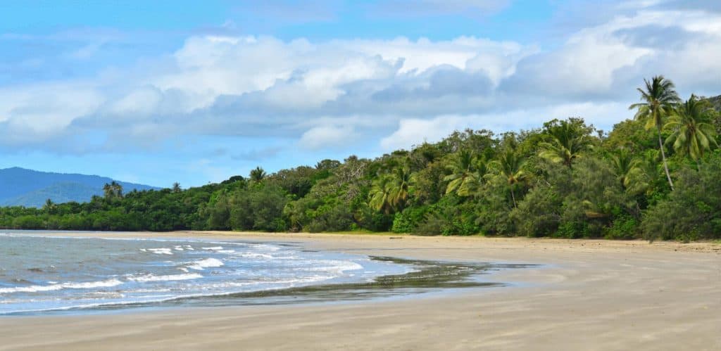 Landscape of Cape Tribulation in Daintree National Park Queensla