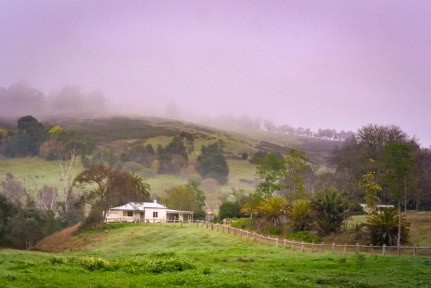 Landscape of a country farm land with a cottage at the background on a foggy morning.