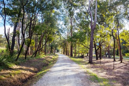The popular Lilydale to Warburton Rail Trail and rural landscape at Graham Colling Reserve  on a warm autumn day in Victoria, Australia