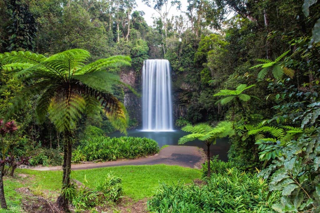 Millaa Millaa Falls in the Atherton Tablelands in North Queensland (2)