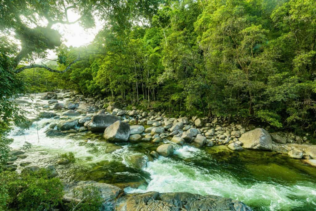 Mossman Gorge - river in Daintree National Park, North Queensland (2)