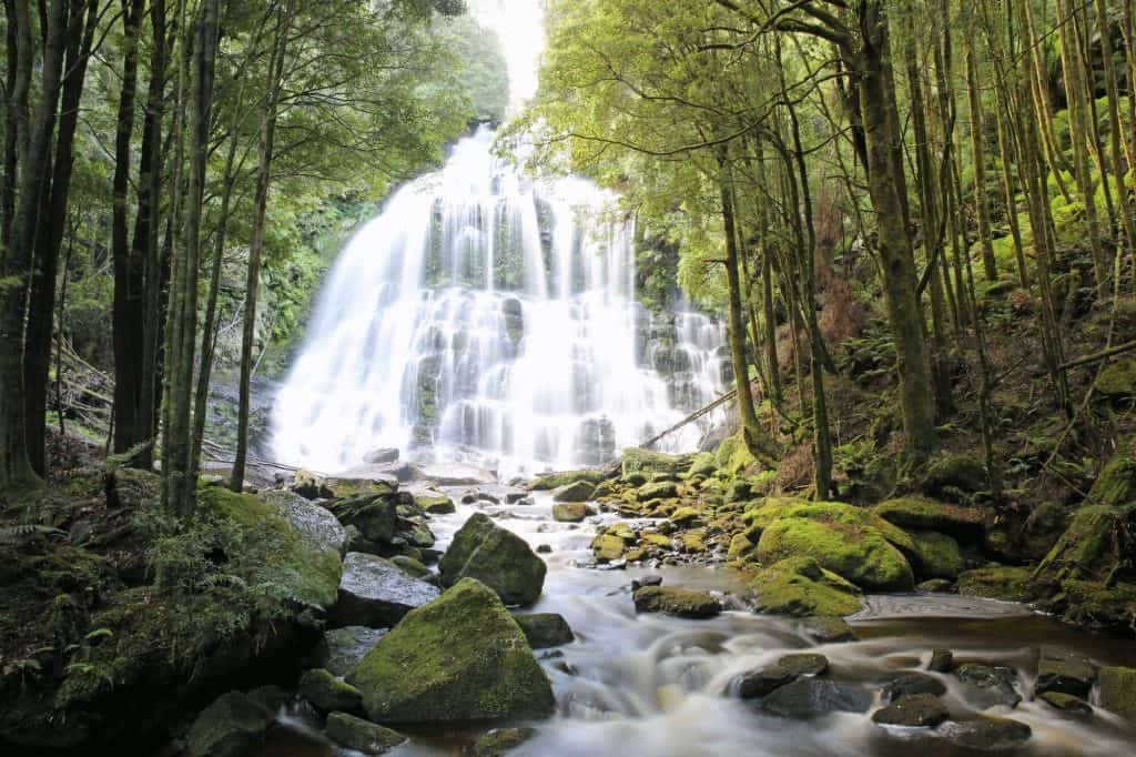 Nelson Falls Tasmania
