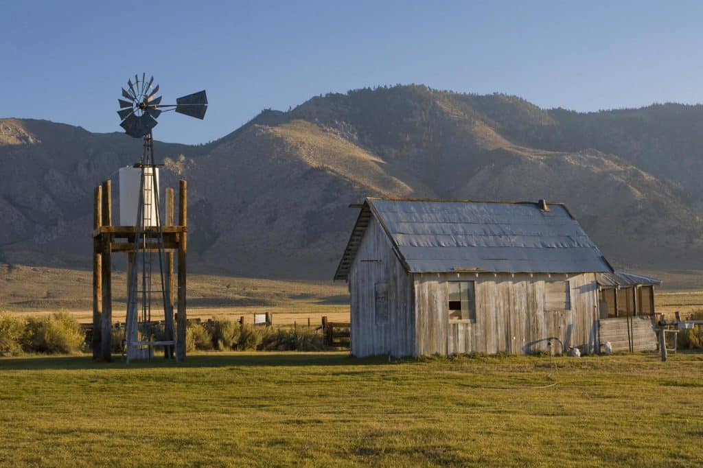 Old shed and windmill, Cradock, South Australia