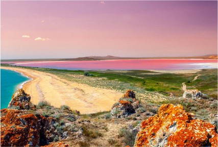 Pink lake at sunset light