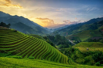 Rice fields on terrace in rainy season at Mu Cang Chai yen bai, Vietnam