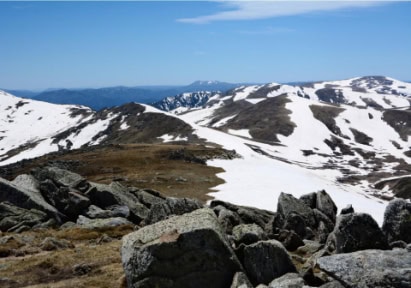 Snowy Mountains