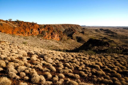 Spinifex Grass Plants in the Pilbara - Australia