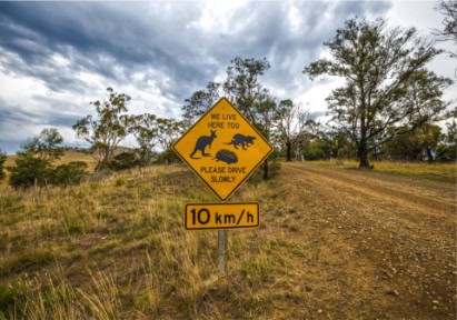 Tasmanian Road Singns