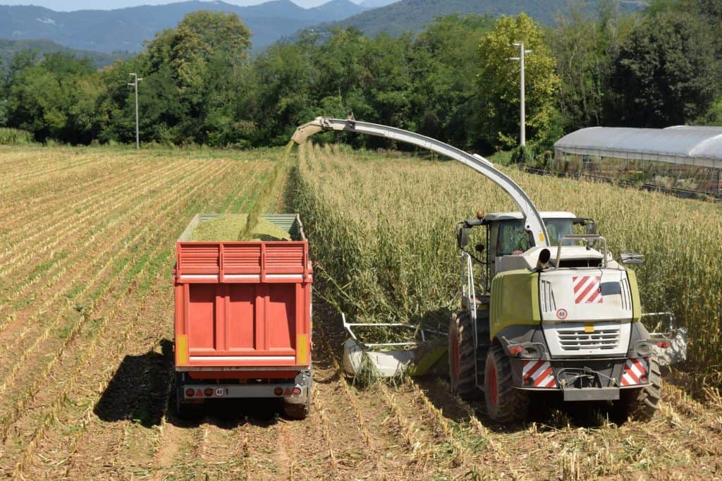 Tractor loading sugar cane onto train bin North Queensland