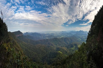 Panoramic view of the ancient rainforest landscape in Lamington National Park, Queensland, Australia.