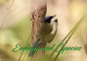 Endangered Species
